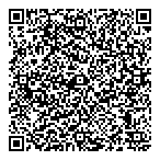 Dds Consulting Ltd QR Card