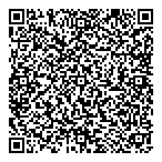 Dsi Dispute Solutions Inc QR Card