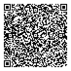 Straus Engineering Ltd QR Card