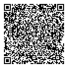 Vibe Car Audio QR Card