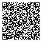 Dominos Pizza QR Card