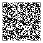 Dollar Smart QR Card