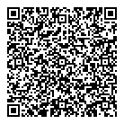 Strategy Wise Co QR Card