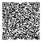 Geo Auto Sales QR Card