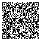 2bv Solutions Ltd QR Card