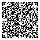 St Brigid School QR Card