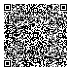 Pharaoh Engineering Ltd QR Card