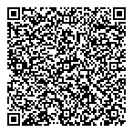 Sj Sykes Consulting QR Card