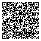 Klis Electric QR Card