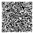 Micropaint/chippy Auto Apprnc QR Card