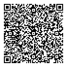 Dr Henry Seto QR Card