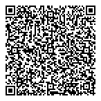 Big Picture Geoscience Inc QR Card