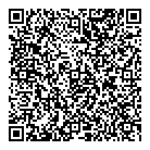 Tdst Consulting QR Card