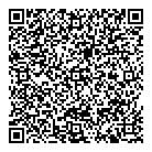 Pandora 218458 QR Card