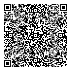 Professional Accounting QR Card