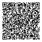 Ssp Consulting QR Card