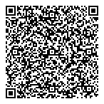 Duclaux Consulting QR Card