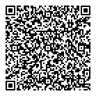 Diamond Pizza QR Card