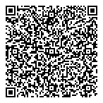 Dz Information Services Ltd QR Card