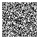 Iskin Inc QR Card