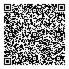 Bnt Solutions Inc QR Card