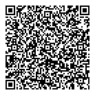 Syntegrity Group QR Card