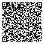 Kilo Goldmines Ltd QR Card