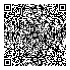 Pkf Consulting QR Card