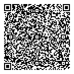 Borealis Infrastructure QR Card