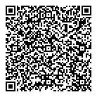 Datafix QR Card