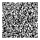 Paragon Consulting QR Card