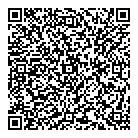 Dollar Blitz QR Card