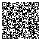 Lucid Limousine QR Card