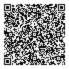 Danmet Alloys Ltd QR Card
