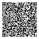 C T Consulting QR Card