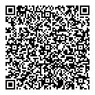 Vasko Consulting QR Card