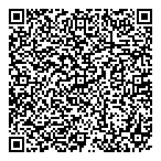 Levin Fischer Ltd QR Card