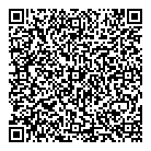 Analuein Inc QR Card