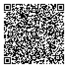 A Lumina 2000 QR Card
