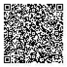 Bsa Diagnostic QR Card