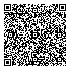 Northern Lights QR Card