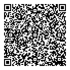 Vcg Promo Risk QR Card