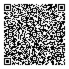 All Pro Handyman QR Card