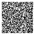 Pmms Consulting Group Inc QR Card
