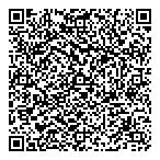 Arisa Holdings Ltd QR Card