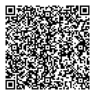 Sts Group Ltd QR Card