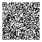 Vivid Air QR Card