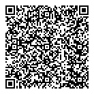 Somteck QR Card