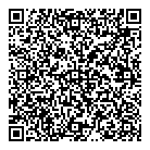 Bandis  Vision QR Card