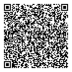 P  P Data Systems Inc QR Card